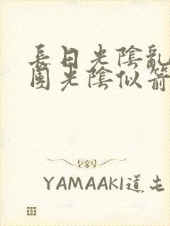 长日光阴乱作一团光阴似箭