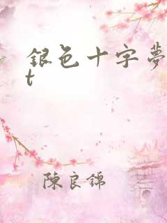 银色十字梦txt