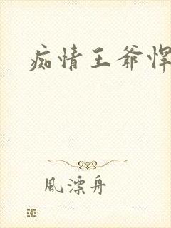 痴情王爷悍王妃