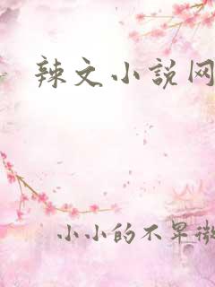 辣文小说网