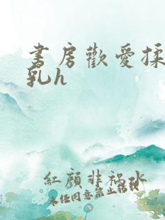 书房欢爱揉捏娇乳h