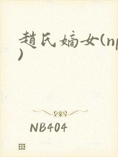 赵氏嫡女(np)