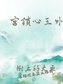 宫锁心玉外传
