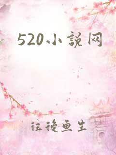520小说网