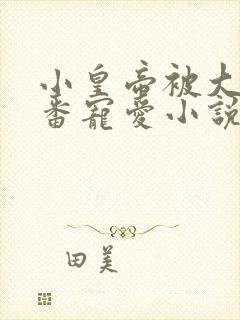 小皇帝被大臣轮番宠爱小说