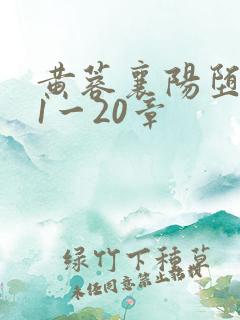 黄蓉襄阳堕落史1一20章