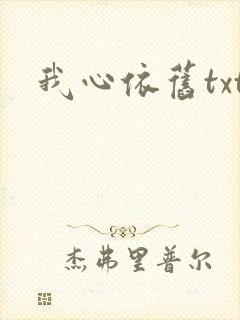 我心依旧txt