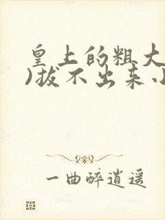 皇上的粗大(h)拔不出来小说