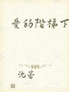 爱的阶梯下载