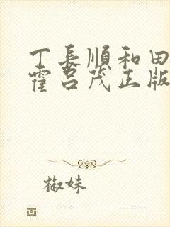 丁长顺和田晓兰霍吕茂正版