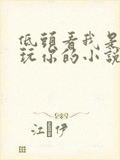 低头看我是怎么玩你的小说