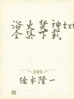 浴火焚神txt全集下载