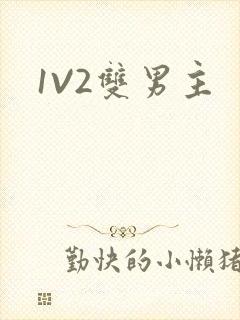 1V2双男主