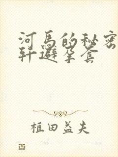 河马的秘密河文轩避孕套