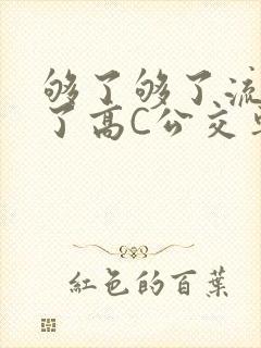 够了够了流出来了高C公交车