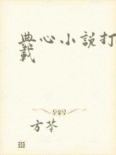 典心小说打包下载
