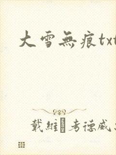 大雪无痕txt