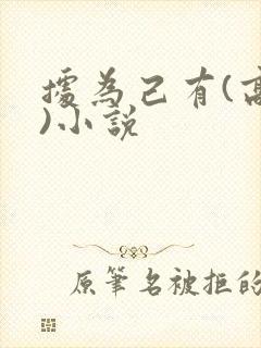 据为己有(高干)小说