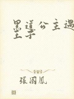 黑道公主遇冷酷王子