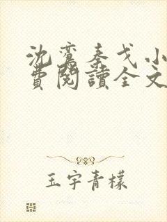 沈鸾秦戈小说免费阅读全文