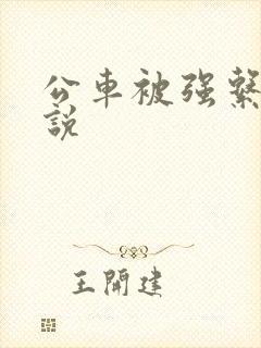 公车被强系列小说