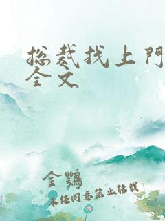 总裁找上门免费全文