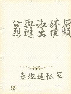 公与淑婷厨房猛烈进出视频中国