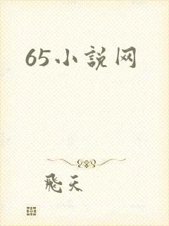 65小说网