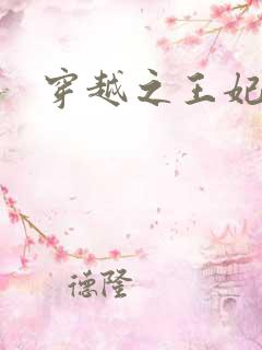 穿越之王妃有孕