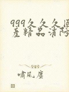 999久久久国产精品消防器材