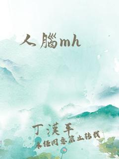 人脑mh