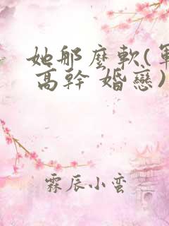 她那么软(军婚 高干 婚恋)完结