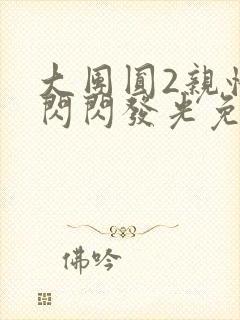 大团圆2亲情会闪闪发光免费