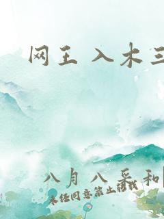 网王 入木三分