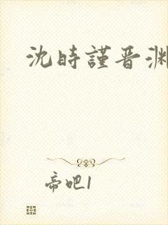 沈时谨晋渊小说