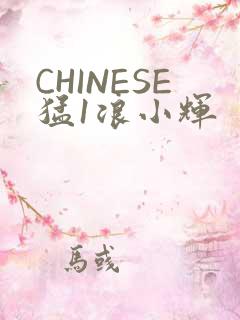 CHINESE猛1浪小辉
