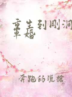 重生到刚洞房的军婚