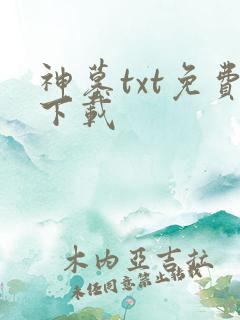 神墓txt免费下载