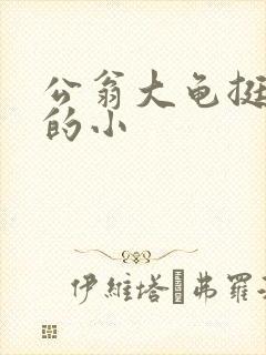 公翁大龟挺进我的小