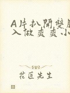 A片扒开双腿进入做爽爽小说