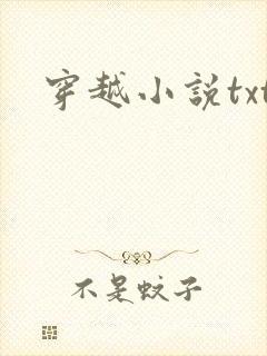 穿越小说txt