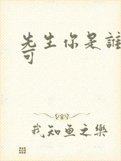 先生你是谁林亦可