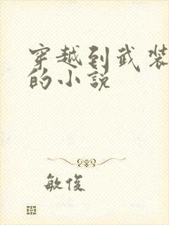 穿越到武装少女的小说