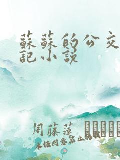 苏苏的公交车日记小说