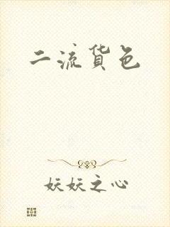 二流货色