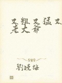 又粗又猛又大爽老大爷