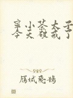 宁小茶太子殿下今天破戒了吗免费阅读