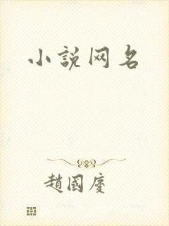 小说网名