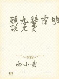 顾九辞霍明澈小说免费