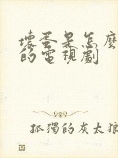 坏蛋是怎么炼成的电视剧